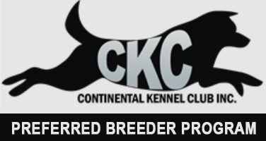 Member of the CKC Preferred Breeder Program!